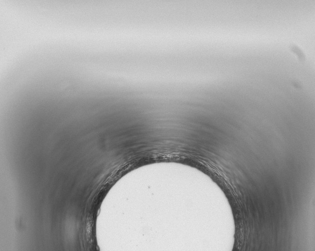 X0000115420709200912011246