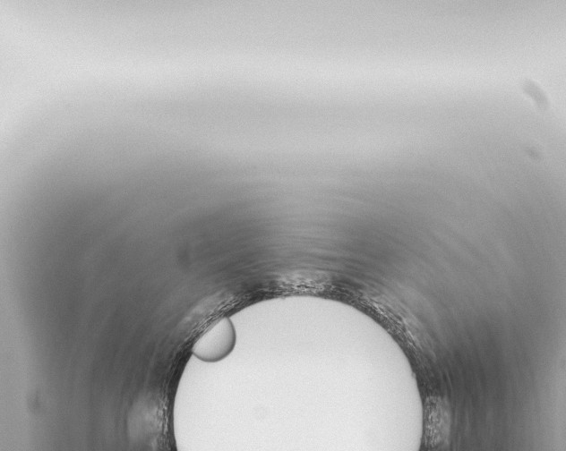 X0000115420713200912011246