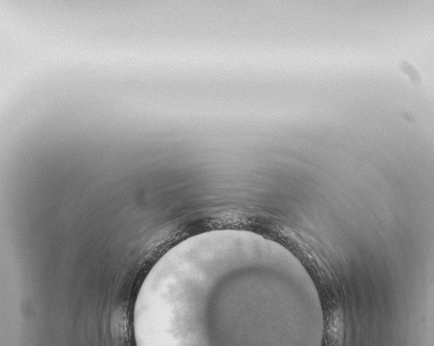 X0000115420715200912011246