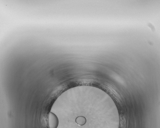 X0000115420718200912011246