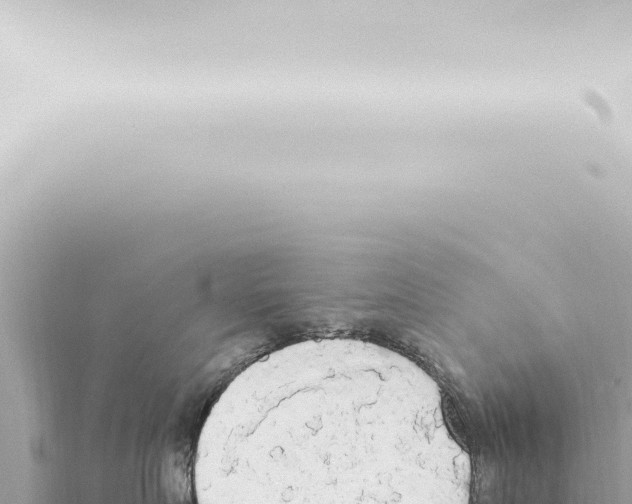 X0000115420719200912011246