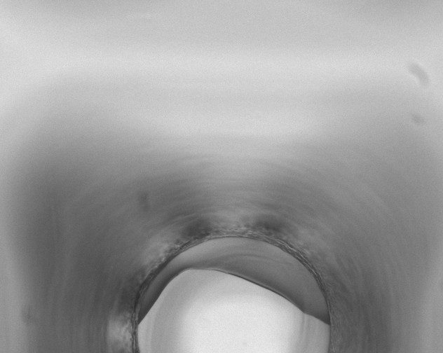 X0000115420720200912011246