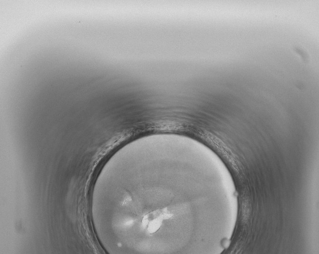 X0000115420721200912011245