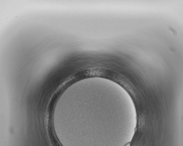 X0000115420722200912011245