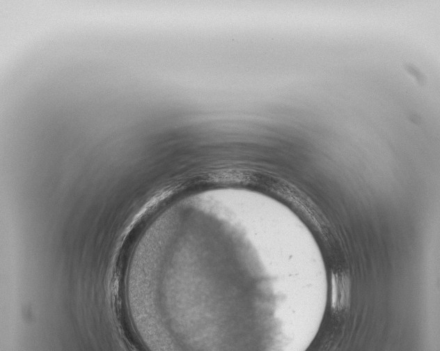 X0000115420723200912011245