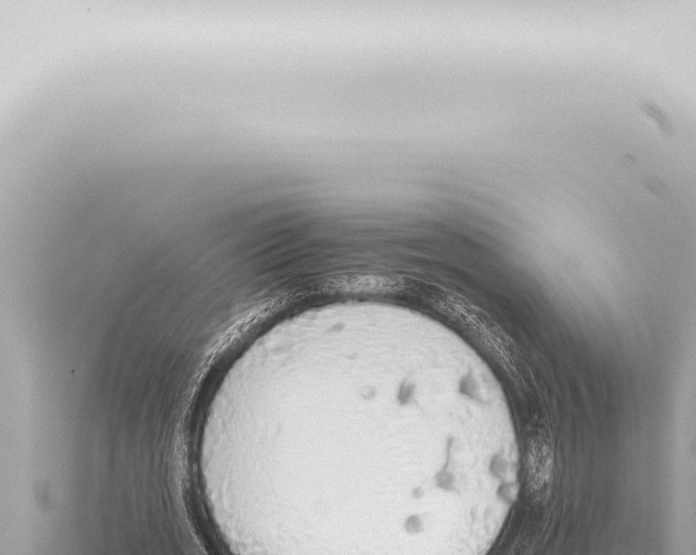 X0000115420725200912011245