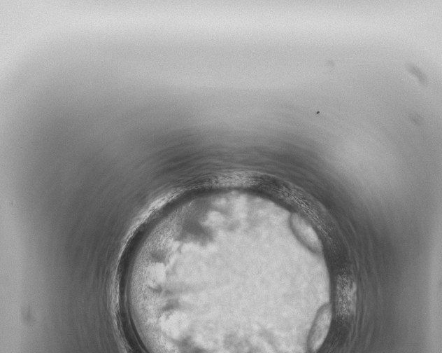 X0000115420726200912011245