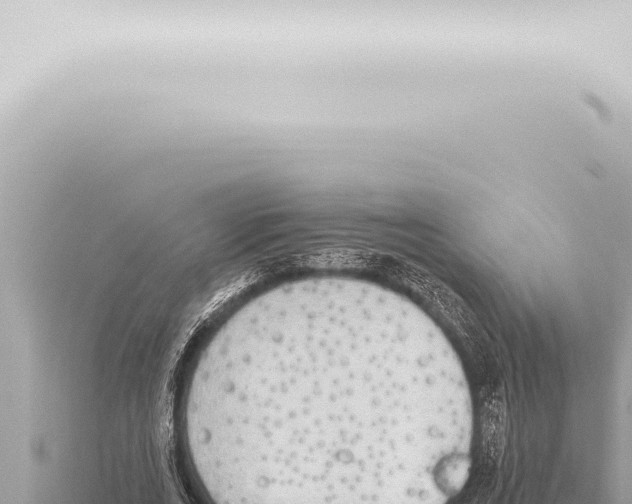 X0000115420727200912011245