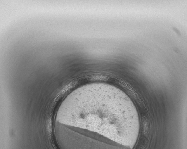 X0000115420729200912011245