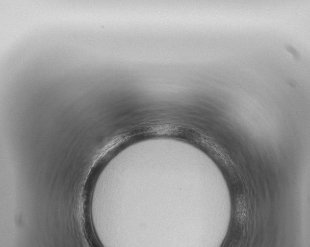 X0000115420730200912011245