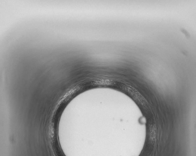 X0000115420731200912011245