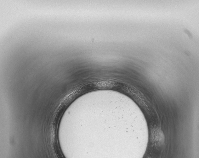 X0000115420733200912011245