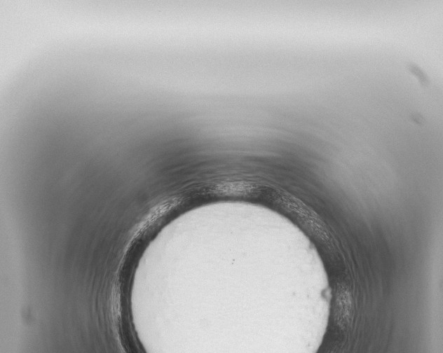 X0000115420734200912011245