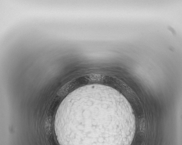 X0000115420737200912011245