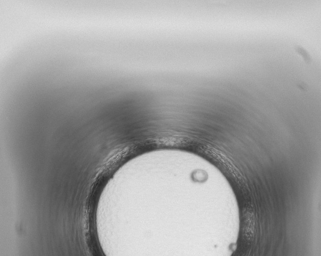 X0000115420738200912011245