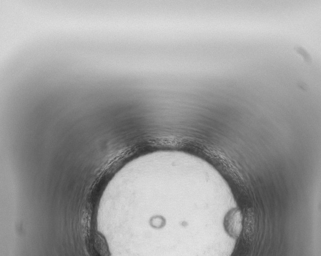 X0000115420739200912011245