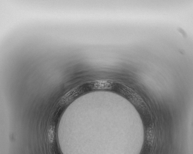 X0000115420741200912011245