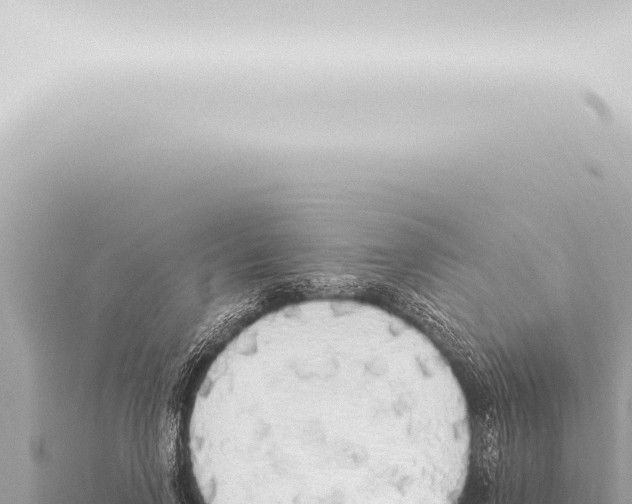 X0000115420742200912011245