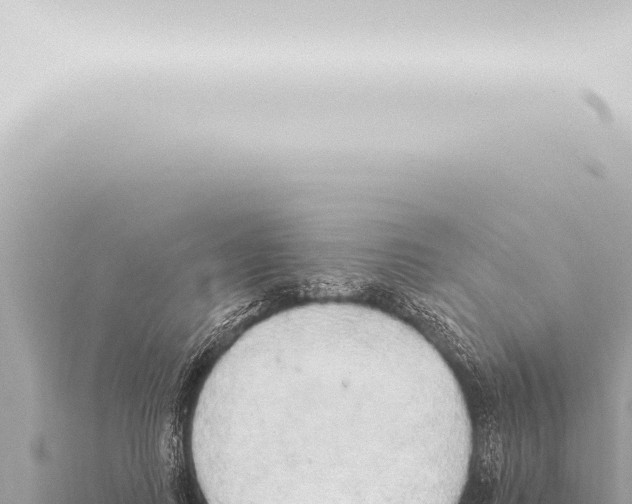 X0000115420743200912011245