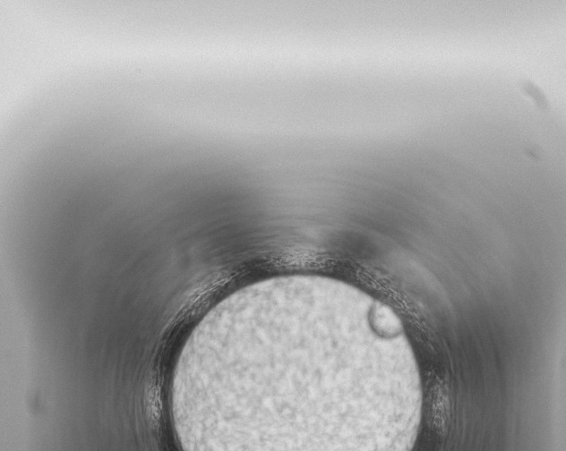 X0000115420746200912011245