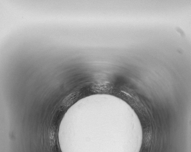 X0000115420749200912011246