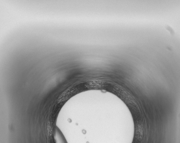 X0000115420751200912011246