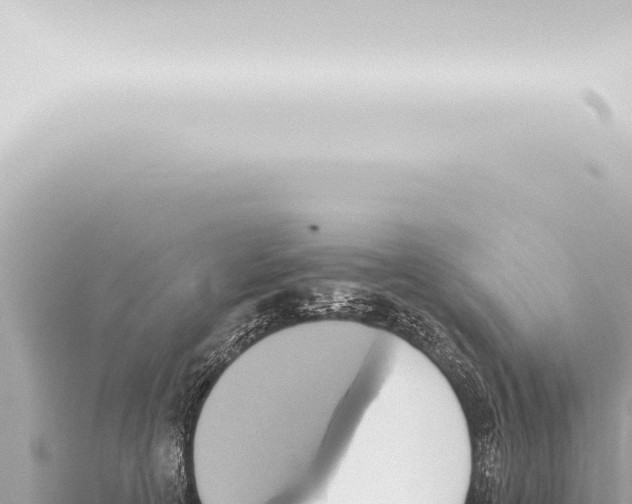 X0000115420754200912011246