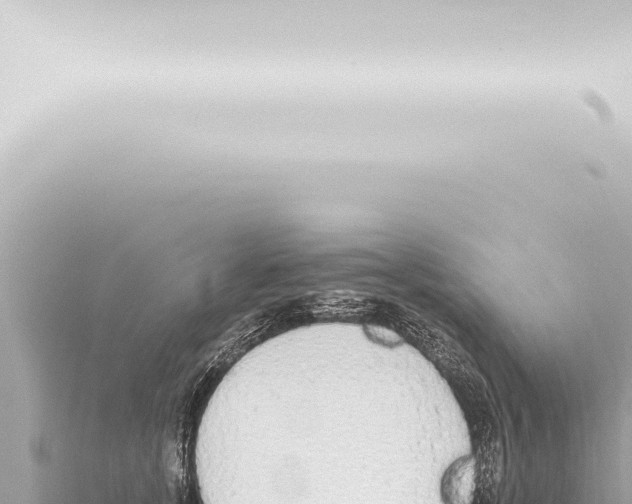 X0000115420755200912011246