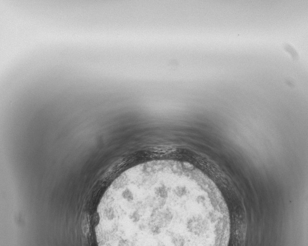 X0000115420758200912011246