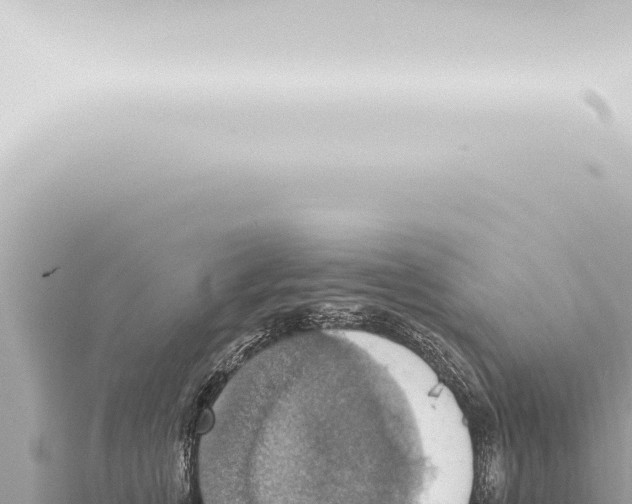 X0000115420759200912011246