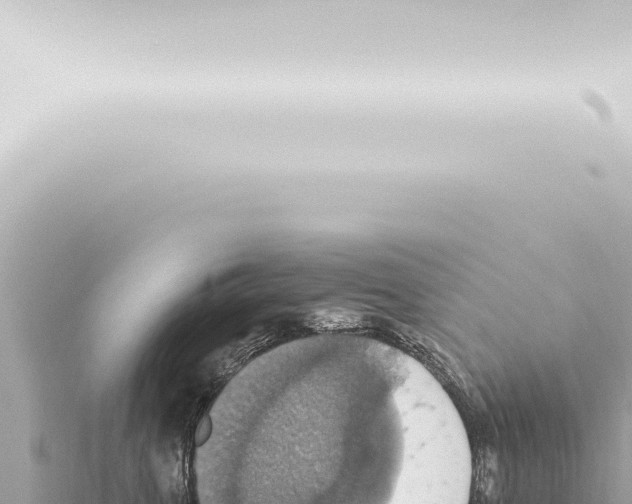 X0000115420763200912011246