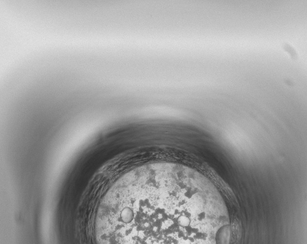 X0000115420765200912011246