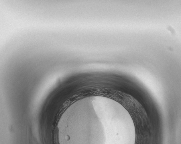 X0000115420766200912011246