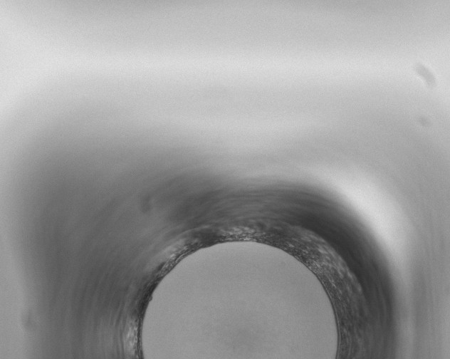 X0000115420767200912011246