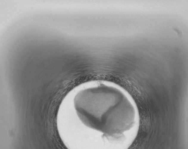 X0000115420769200912011245