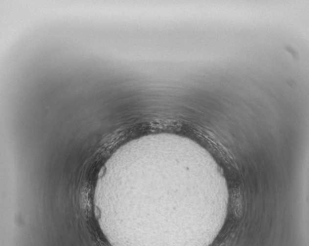 X0000115420770200912011245