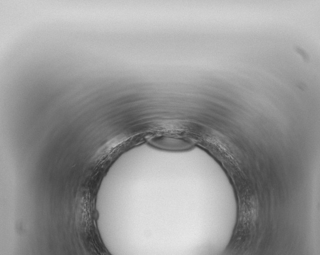 X0000115420773200912011245