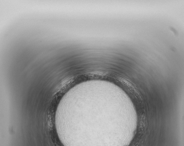 X0000115420774200912011245