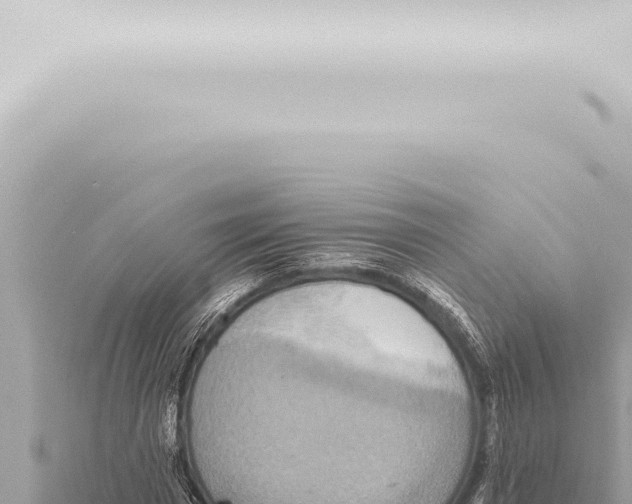 X0000115420777200912011245