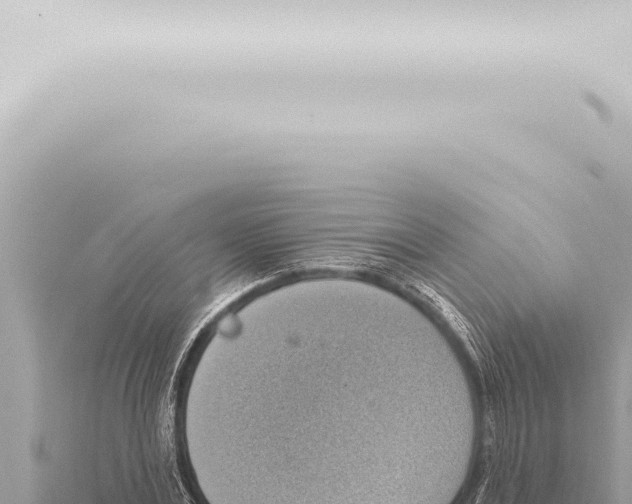 X0000115420779200912011245