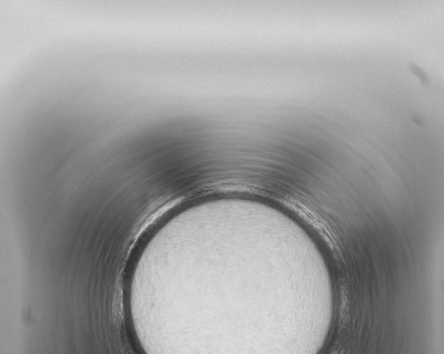 X0000115420782200912011245