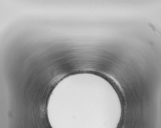 X0000115420785200912011245