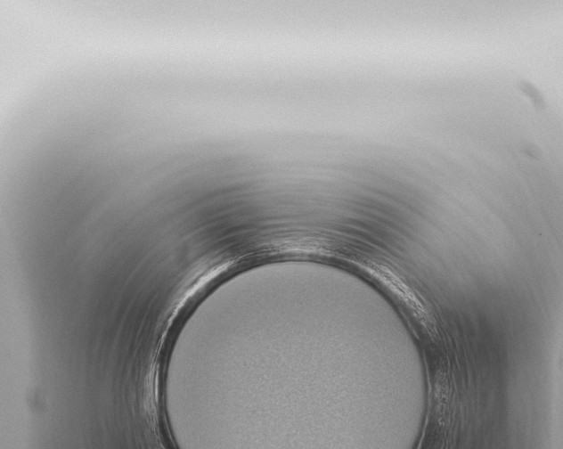 X0000115420790200912011245