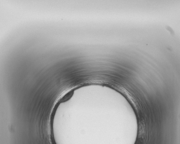 X0000115420795200912011245