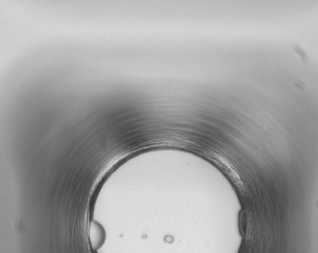 X0000115420796200912011245