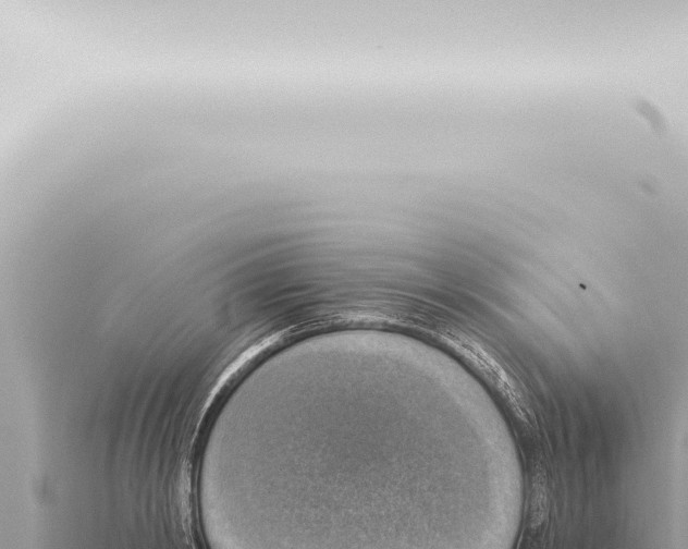 X0000115420798200912011245