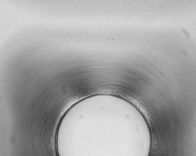 X0000115420803200912011245