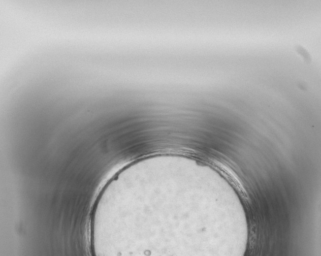 X0000115420804200912011245