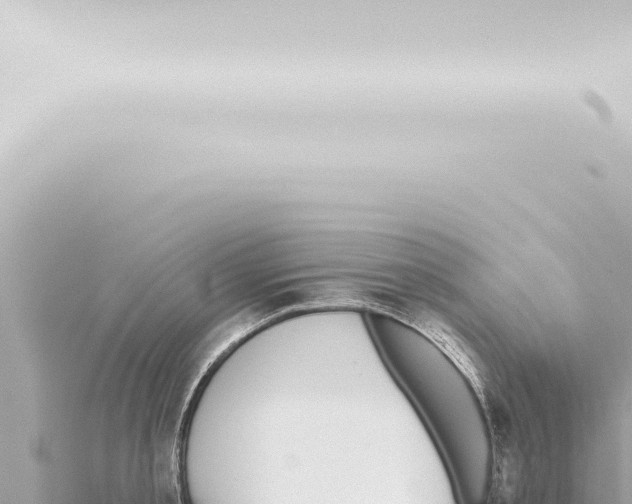 X0000115420805200912011245