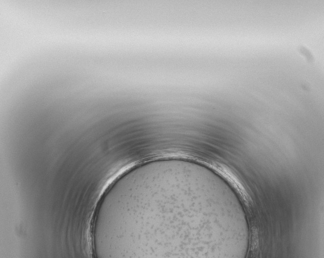 X0000115420806200912011245